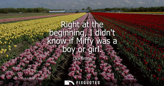 Small: Right at the beginning, I didnt know if Miffy was a boy or girl