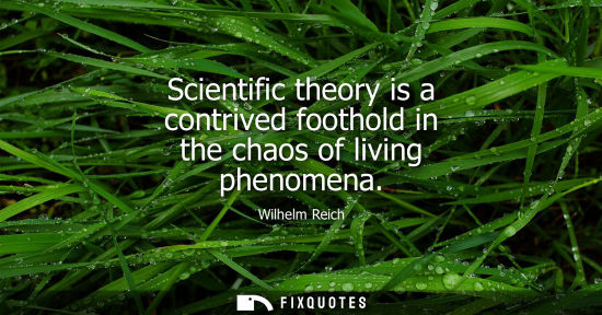 Small: Scientific theory is a contrived foothold in the chaos of living phenomena