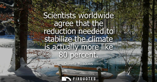 Small: Scientists worldwide agree that the reduction needed to stabilize the climate is actually more like 80 