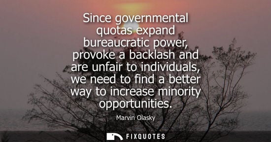 Small: Since governmental quotas expand bureaucratic power, provoke a backlash and are unfair to individuals, 