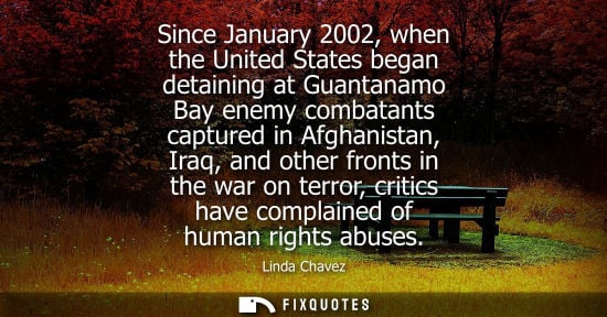 Small: Since January 2002, when the United States began detaining at Guantanamo Bay enemy combatants captured 
