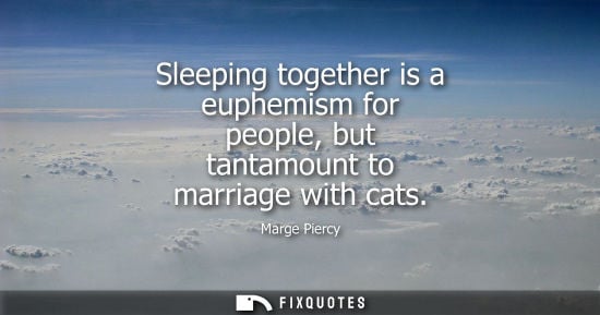 Small: Sleeping together is a euphemism for people, but tantamount to marriage with cats