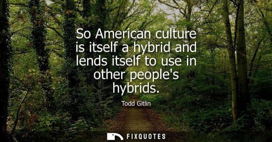Small: So American culture is itself a hybrid and lends itself to use in other peoples hybrids