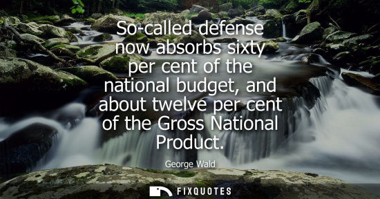Small: So-called defense now absorbs sixty per cent of the national budget, and about twelve per cent of the G