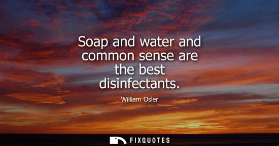 Small: Soap and water and common sense are the best disinfectants