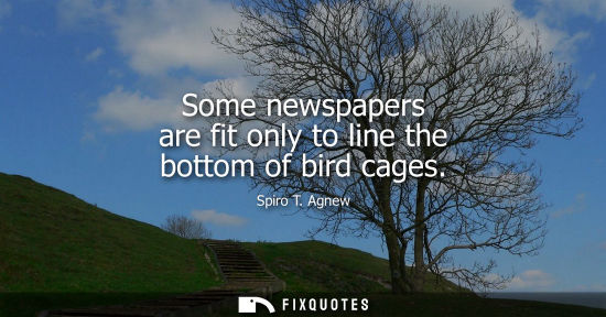 Small: Some newspapers are fit only to line the bottom of bird cages