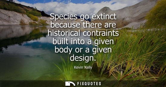 Small: Species go extinct because there are historical contraints built into a given body or a given design
