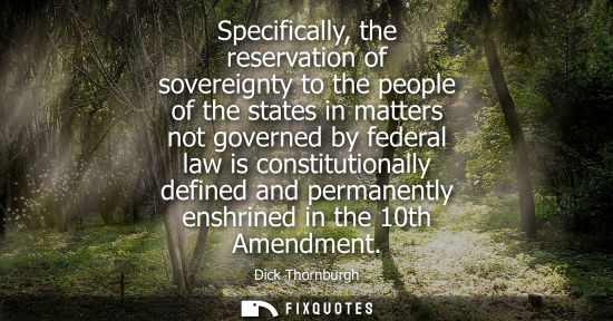 Small: Specifically, the reservation of sovereignty to the people of the states in matters not governed by federal la