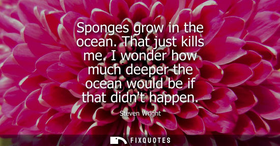 Small: Sponges grow in the ocean. That just kills me. I wonder how much deeper the ocean would be if that didn
