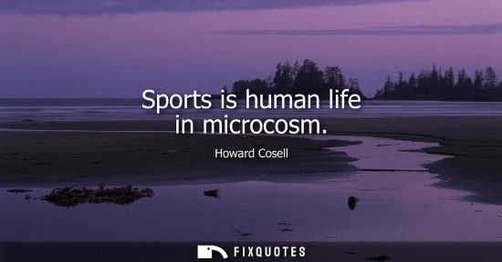 Small: Sports is human life in microcosm