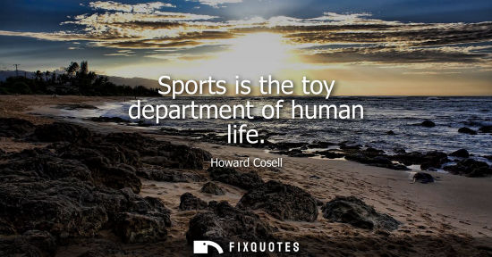 Small: Sports is the toy department of human life
