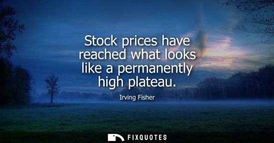 Small: Stock prices have reached what looks like a permanently high plateau