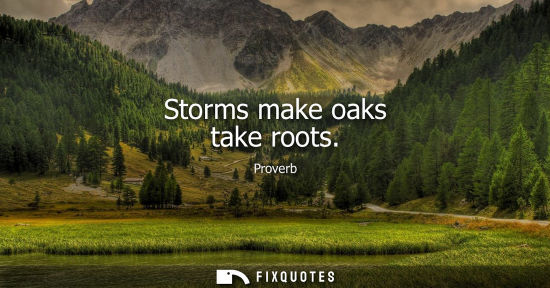 Small: Storms make oaks take roots