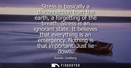 Small: Stress is basically a disconnection from the earth, a forgetting of the breath. Stress is an ignorant s