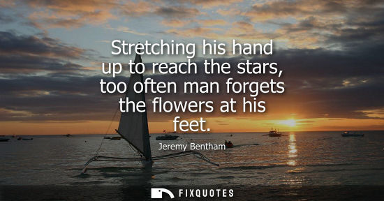 Small: Stretching his hand up to reach the stars, too often man forgets the flowers at his feet