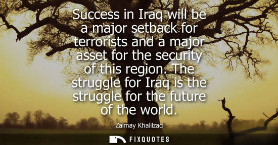 Small: Success in Iraq will be a major setback for terrorists and a major asset for the security of this region.