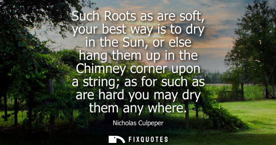 Small: Such Roots as are soft, your best way is to dry in the Sun, or else hang them up in the Chimney corner 