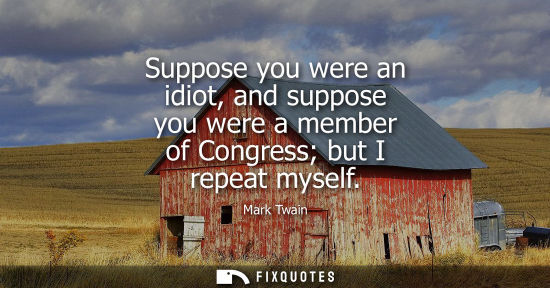 Small: Suppose you were an idiot, and suppose you were a member of Congress but I repeat myself