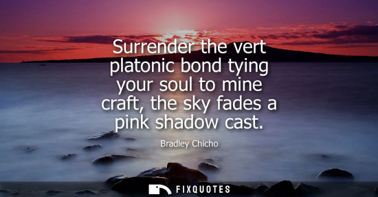 Small: Surrender the vert platonic bond tying your soul to mine craft, the sky fades a pink shadow cast