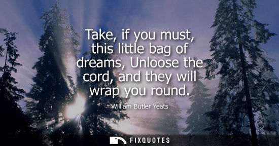 Small: Take, if you must, this little bag of dreams, Unloose the cord, and they will wrap you round