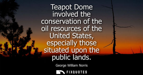 Small: Teapot Dome involved the conservation of the oil resources of the United States, especially those situa