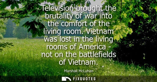 Small: Television brought the brutality of war into the comfort of the living room. Vietnam was lost in the living ro