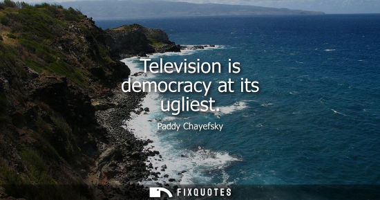 Small: Television is democracy at its ugliest