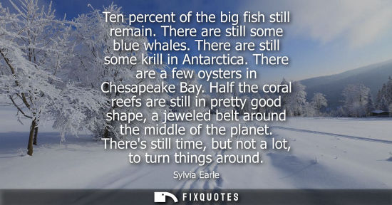 Small: Ten percent of the big fish still remain. There are still some blue whales. There are still some krill 