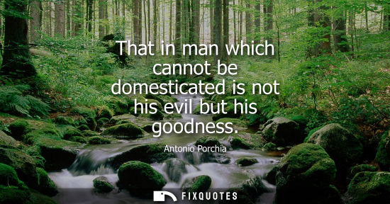 Small: That in man which cannot be domesticated is not his evil but his goodness