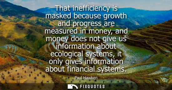 Small: That inefficiency is masked because growth and progress are measured in money, and money does not give 