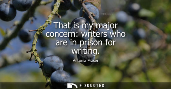 Small: That is my major concern: writers who are in prison for writing