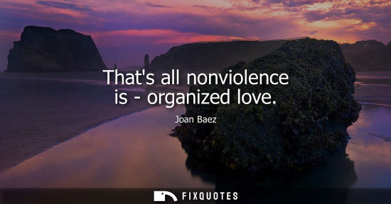 Small: Thats all nonviolence is - organized love