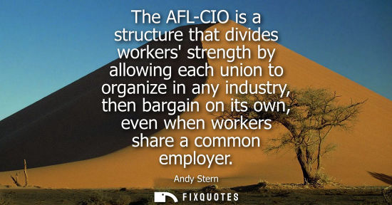 Small: The AFL-CIO is a structure that divides workers strength by allowing each union to organize in any indu
