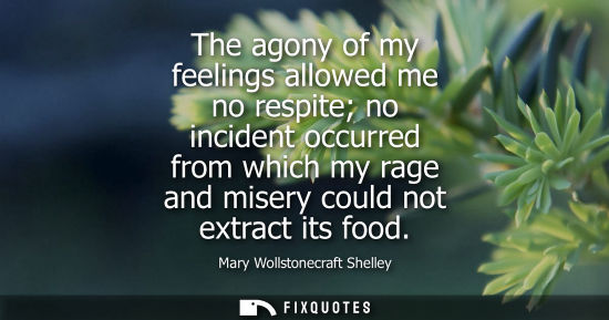 Small: The agony of my feelings allowed me no respite no incident occurred from which my rage and misery could not ex