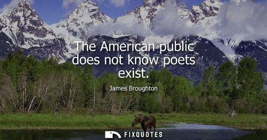 Small: The American public does not know poets exist