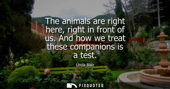 Small: The animals are right here, right in front of us. And how we treat these companions is a test