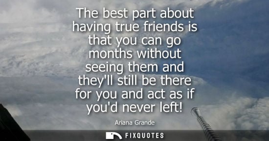 Small: The best part about having true friends is that you can go months without seeing them and theyll still 