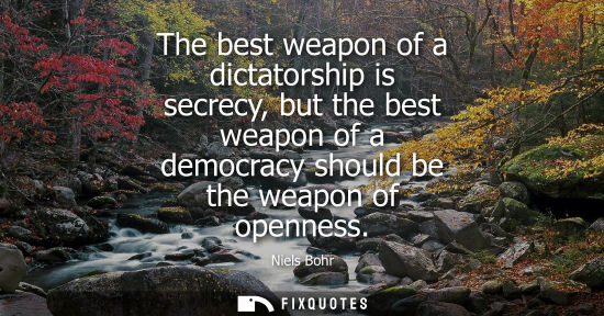 Small: The best weapon of a dictatorship is secrecy, but the best weapon of a democracy should be the weapon o