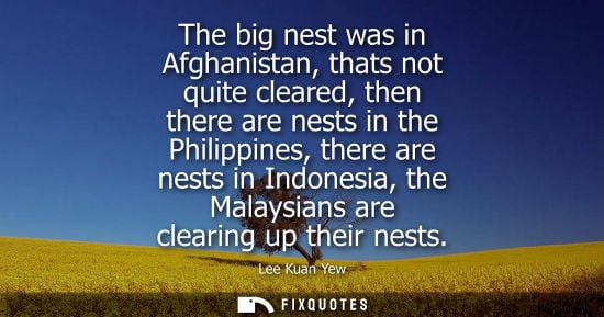 Small: The big nest was in Afghanistan, thats not quite cleared, then there are nests in the Philippines, there are n