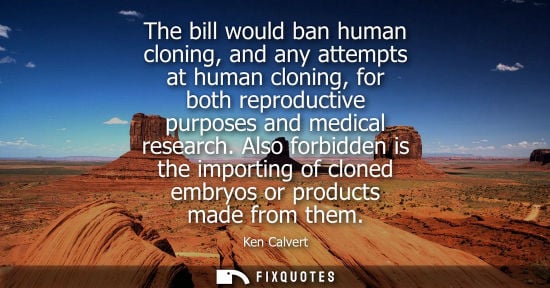 Small: The bill would ban human cloning, and any attempts at human cloning, for both reproductive purposes and