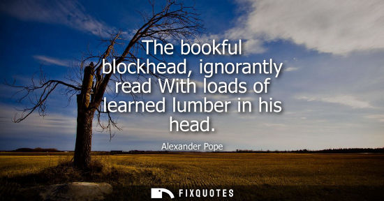 Small: The bookful blockhead, ignorantly read With loads of learned lumber in his head