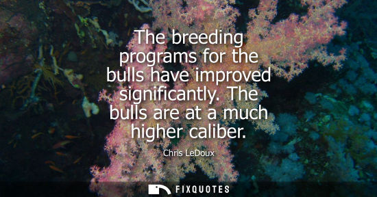 Small: The breeding programs for the bulls have improved significantly. The bulls are at a much higher caliber