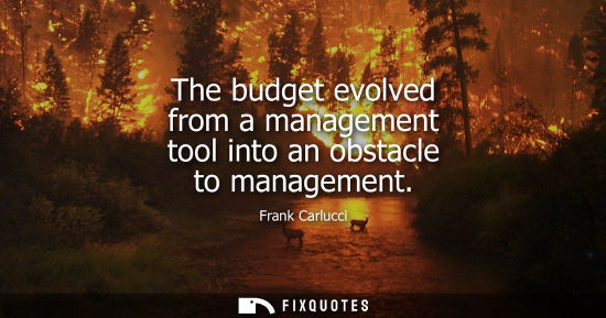 Small: The budget evolved from a management tool into an obstacle to management