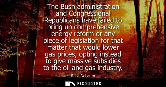 Small: The Bush administration and Congressional Republicans have failed to bring up comprehensive energy refo