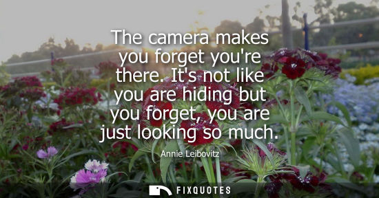 Small: The camera makes you forget youre there. Its not like you are hiding but you forget, you are just looki