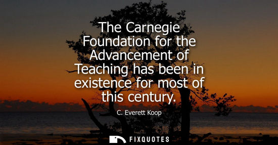 Small: The Carnegie Foundation for the Advancement of Teaching has been in existence for most of this century