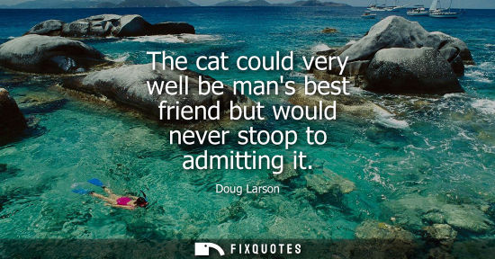Small: The cat could very well be mans best friend but would never stoop to admitting it