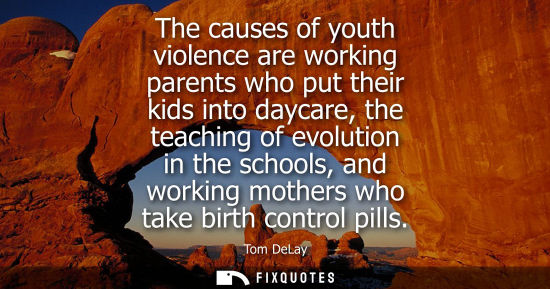 Small: The causes of youth violence are working parents who put their kids into daycare, the teaching of evolu