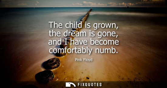 Small: The child is grown, the dream is gone, and I have become comfortably numb