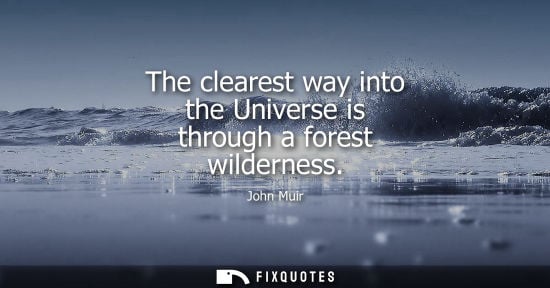 Small: The clearest way into the Universe is through a forest wilderness